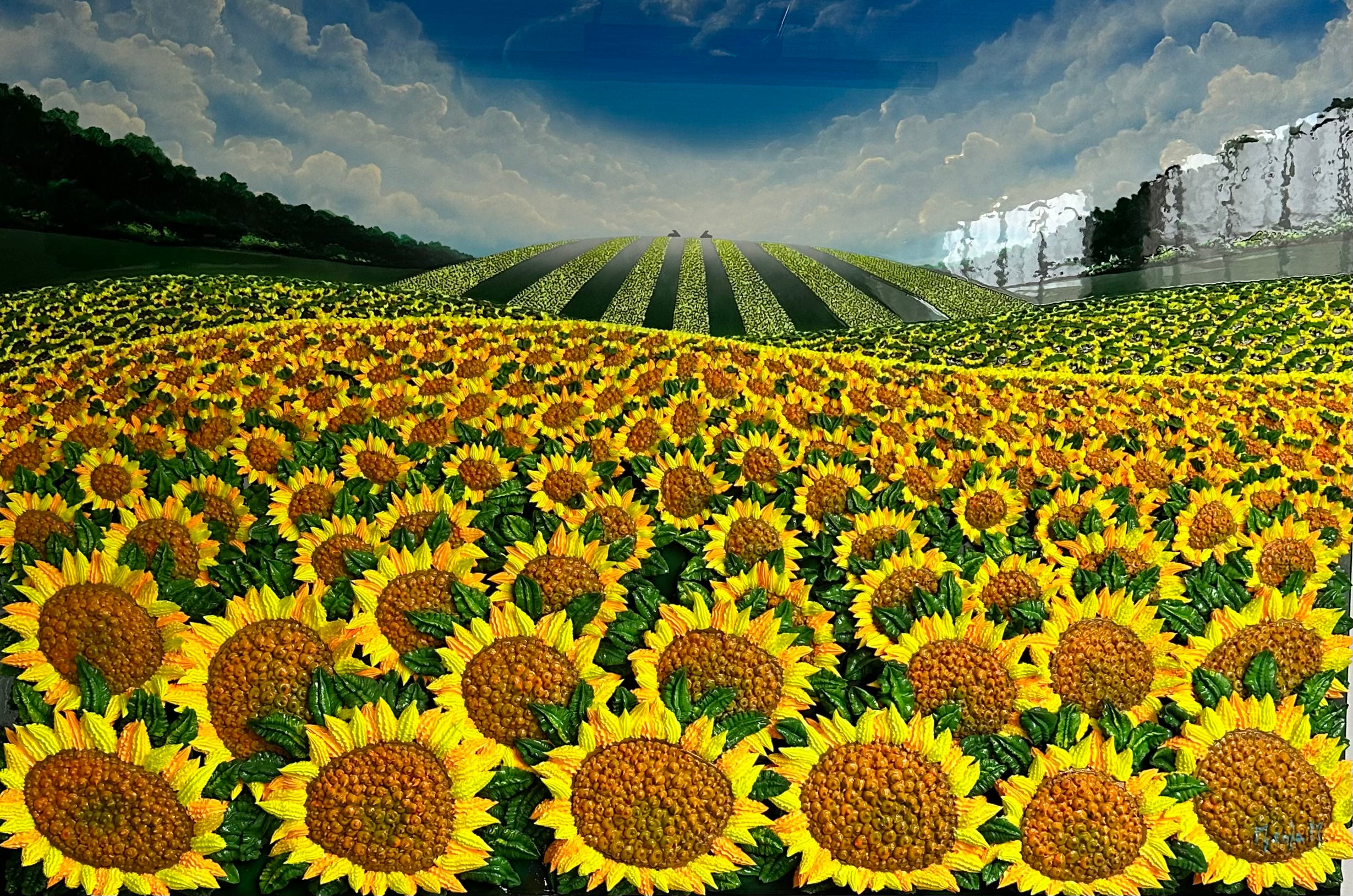 Girasoli