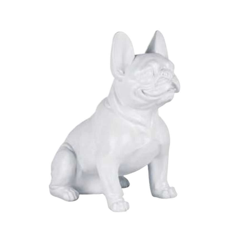 White French Bulldog